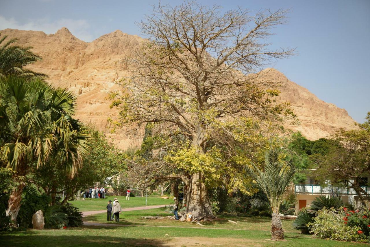 Ein Gedi Family Apartment Exterior foto